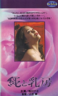 绳子和乳房封面图