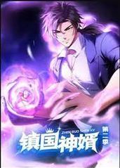 镇国神婿第二季封面图