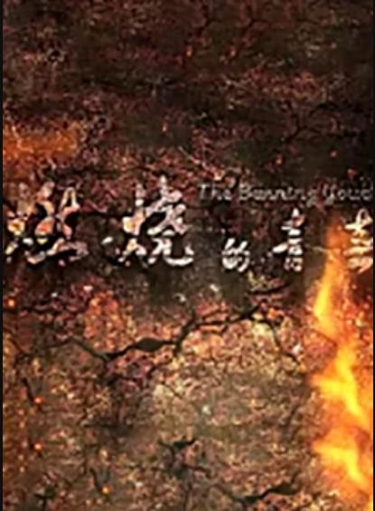 燃烧的青春封面图