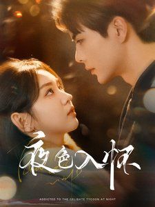 夜色入怀封面图