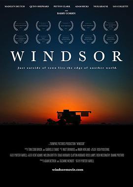 温莎之谜封面图