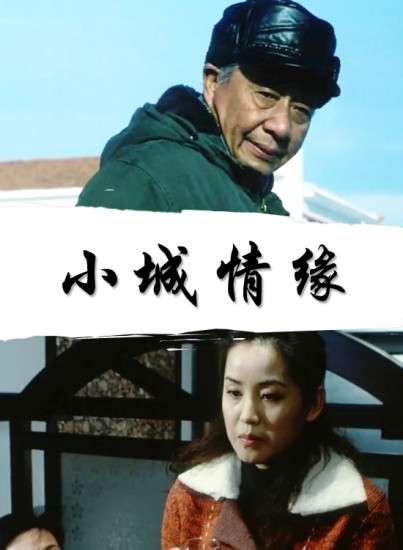小城情缘封面图