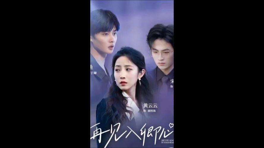 再见入卿心封面图