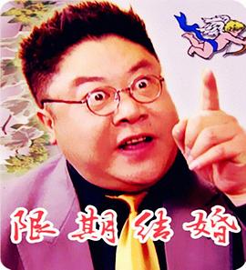 限期结婚封面图