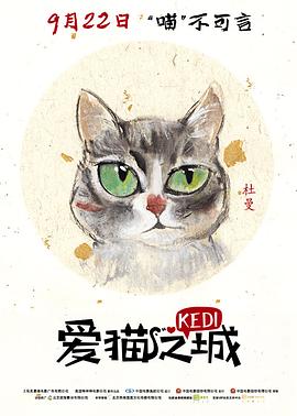 爱猫之城[电影解说]封面图