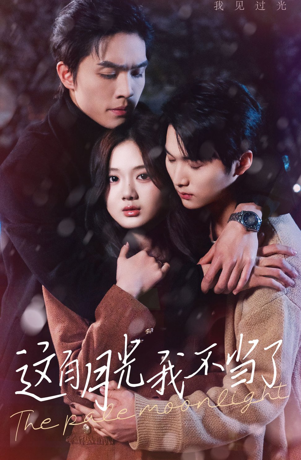 这白月光我不当了 傅总别再跟我纠缠了封面图