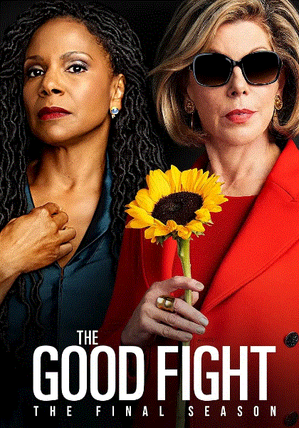 傲骨之战第6季封面图