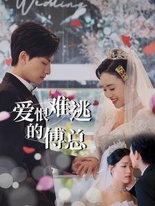 爱恨难逃的傅总封面图