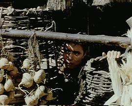 最后防卫封面图