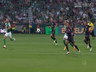 德甲 斯图加特vs弗赖堡 (吴子越) 20230902封面图