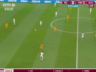 荷兰VS卡塔尔封面图