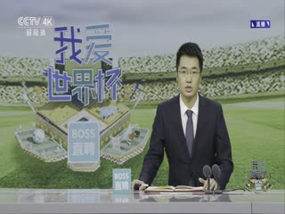 荷兰vs美国封面图