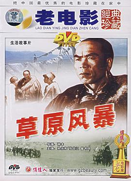 草原风暴封面图