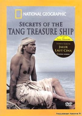 唐代宝船之谜封面图