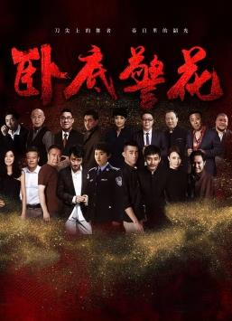 卧底警花封面图