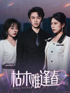 枯木难逢春封面图