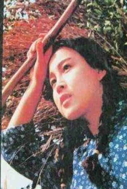 部落性冲突封面图