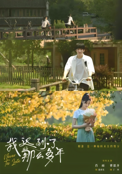 我迟到了那么多年电影版封面图