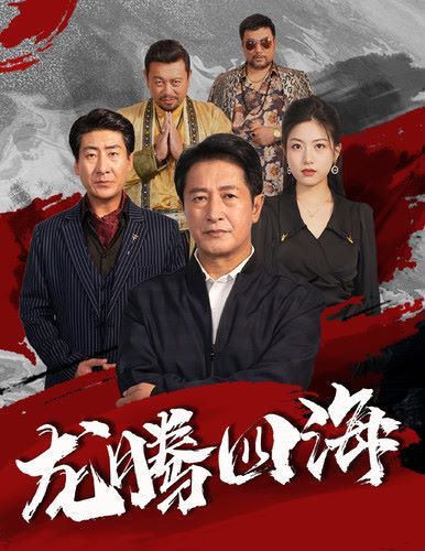 新龙腾四海封面图