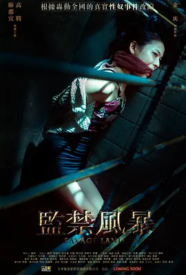 监禁风暴封面图