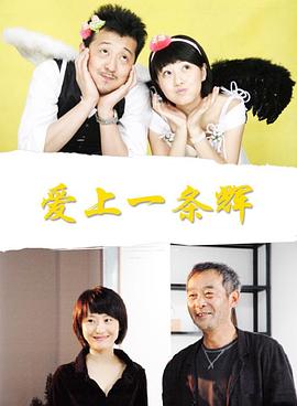 爱上一条辉封面图