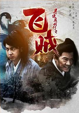 寻侠英雄传之飞贼封面图