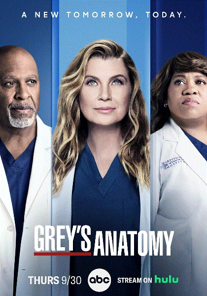 实习医生格蕾第18季封面图