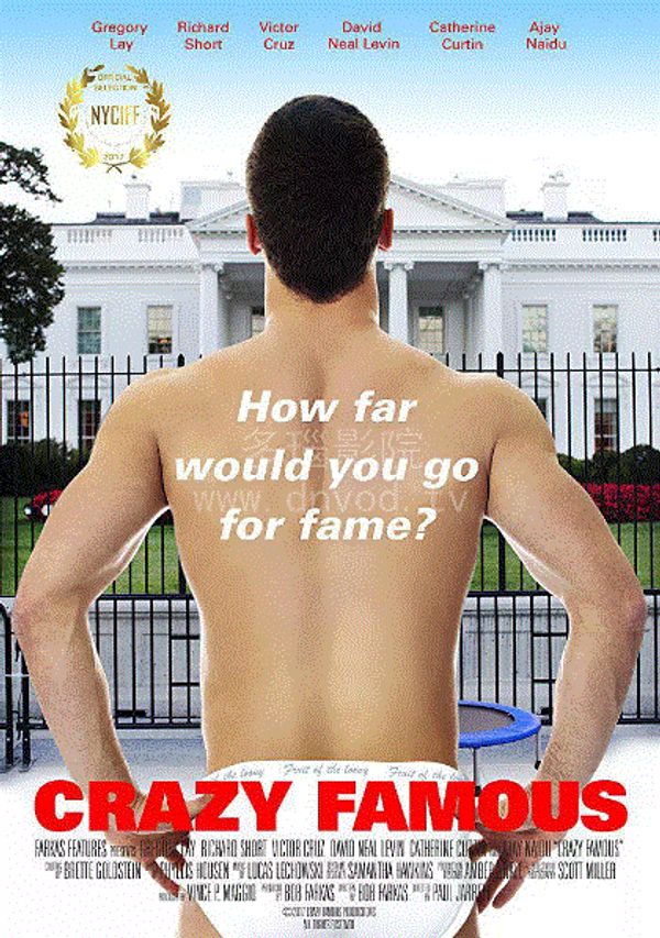 疯狂成名记封面图