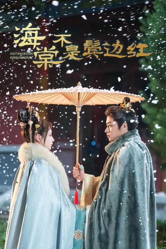 海棠不是鬓边红 人生若只如初见封面图