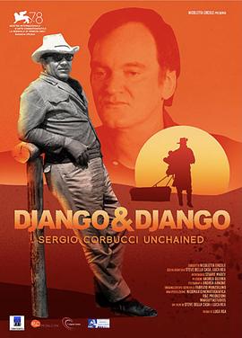 Django &amp;amp; Django封面图