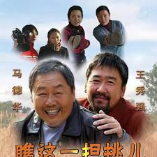 瞧，这一担挑儿封面图