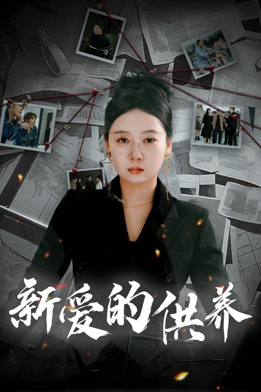 新爱的供养 以爱入局 天上的星星不说话封面图