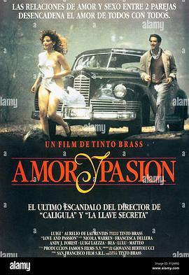 爱与激情封面图