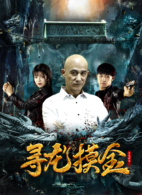 寻龙摸金封面图