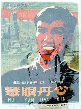 慧眼丹心封面图