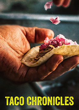 塔可美食纪 第三季封面图