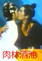 肉林酒池封面图