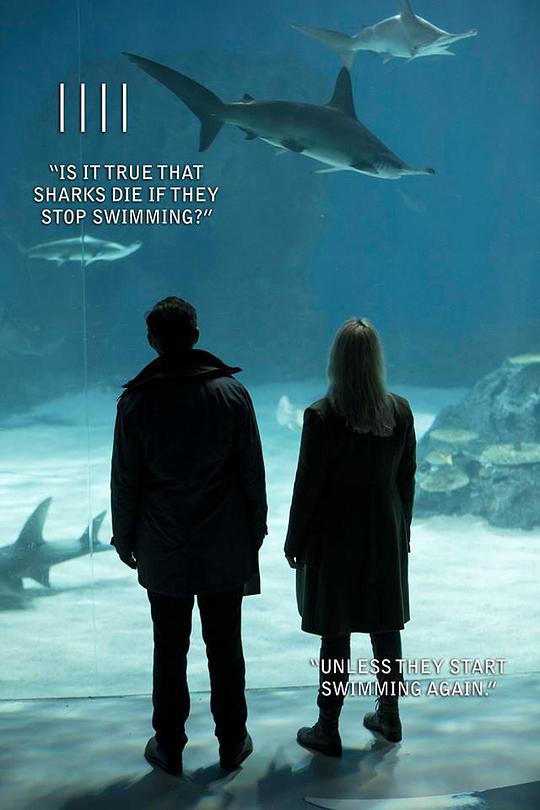 桥第四季封面图