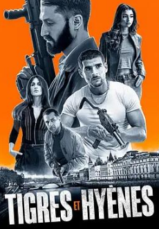 老虎与鬣狗封面图