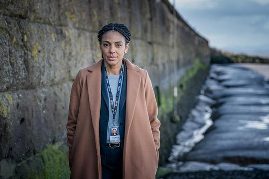 迷失海湾第三季封面图