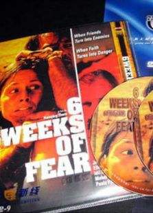 临危不惧封面图