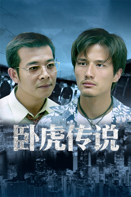 卧虎传说封面图