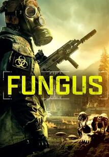 霉菌战争2023封面图