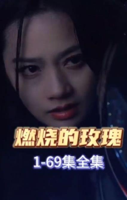 燃烧的玫瑰2023封面图