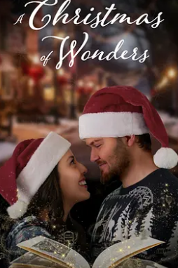 奇妙的圣诞节封面图