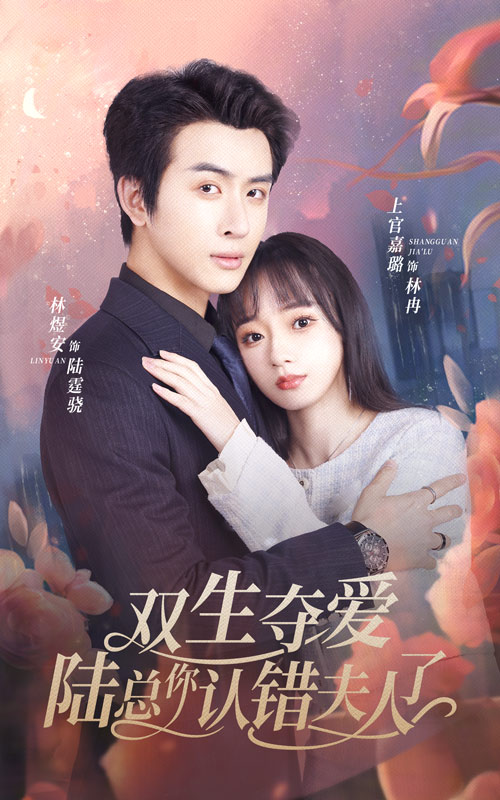 双生夺爱陆总你认错夫人封面图