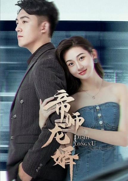 帝师龙婿封面图