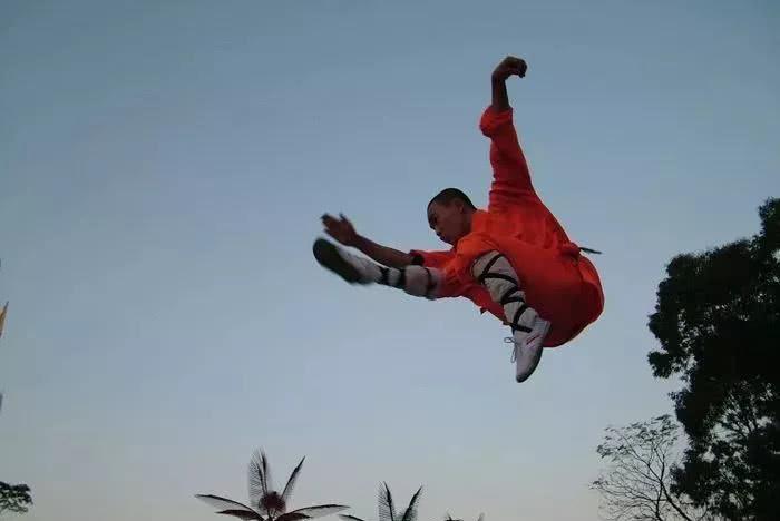 出神入化看武术封面图