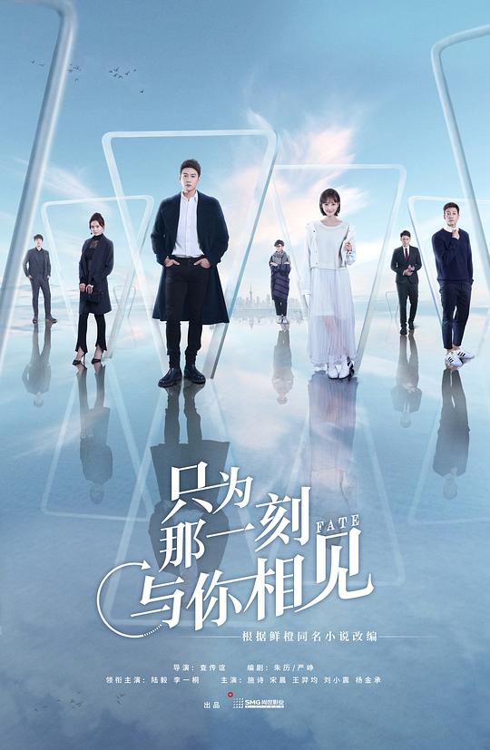 只为那一刻与你相见网络版封面图