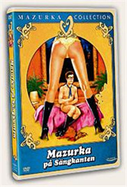 咸湿先生封面图